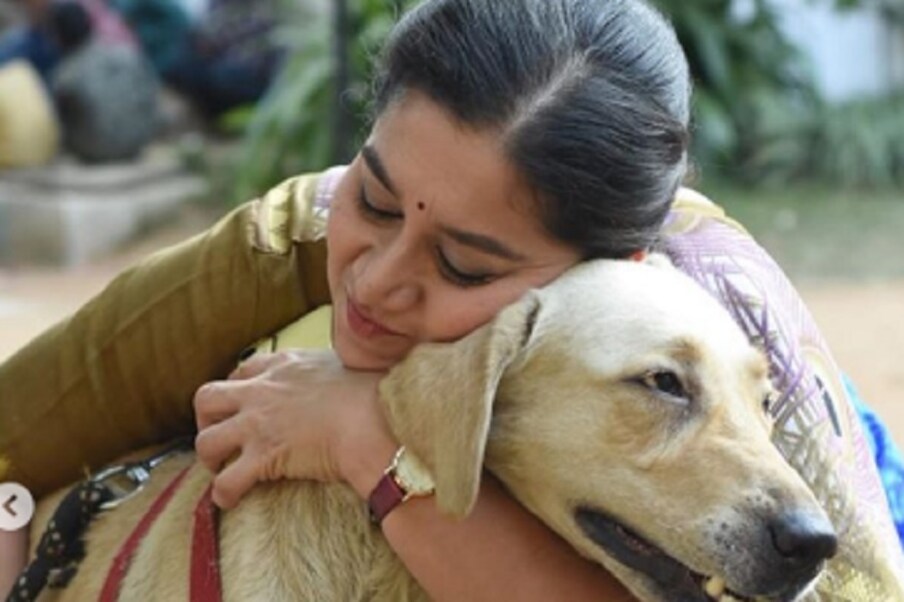  ಸುಧಾರಾಣಿ ಲಾಕ್​ಡೌನ್​ ಪ್ರಾಣಿ ಪ್ರೇಮಿ ಅನ್ನೋದು ಗೊತ್ತೇ ಇದೆ. ಅವರಿಗೆ ನಾಯಿ ಎಂದರೆ ಎಷ್ಟು ಇಷ್ಟ ಅನ್ನೋದು ಅವರ ಇನ್​ಸ್ಟಾಗ್ರಾಂ ನೋಡಿದರೆ ತಿಳಿಯುತ್ತದೆ.