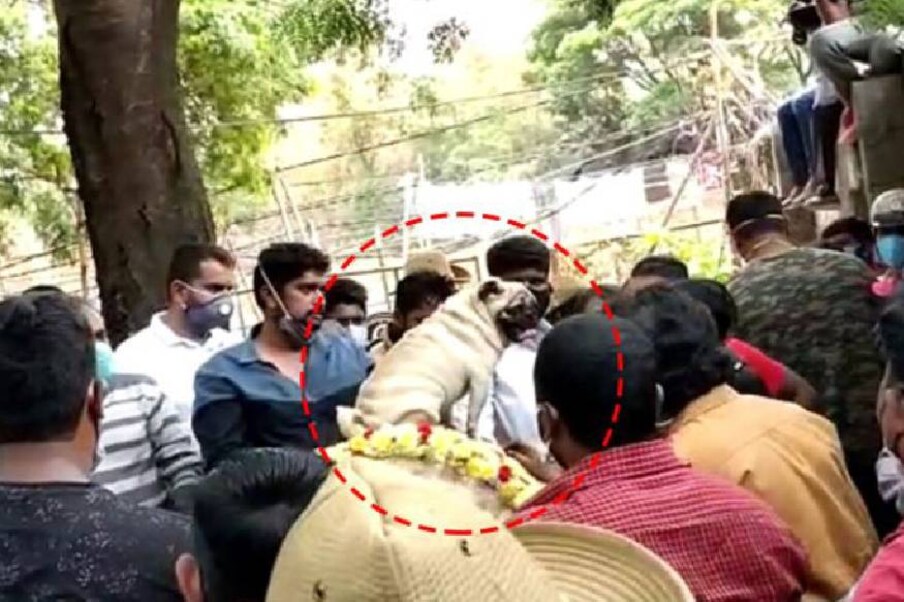  ತಮ್ಮ ಅದ್ಭುತ ಹಾಸ್ಯದ ಮೂಲಕ ಅಪಾರ ಅಭಿಮಾನಿಗಳನ್ನು ಹೊಂದಿದ್ದ ಬುಲೆಟ್​ ಪ್ರಕಾಶ್​ ಈಗ ಮಣ್ಣಲ್ಲಿ ಮಣ್ಣಾಗಿದ್ದಾರೆ. ಬೆಂಗಳೂರಿನ ಹೆಬ್ಬಾಳದ ರುದ್ರಭೂಮಿಯಲ್ಲಿ ಅವರ ಅಂತ್ಯಸಂಸ್ಕಾರ ನಡೆಯಿತು.
