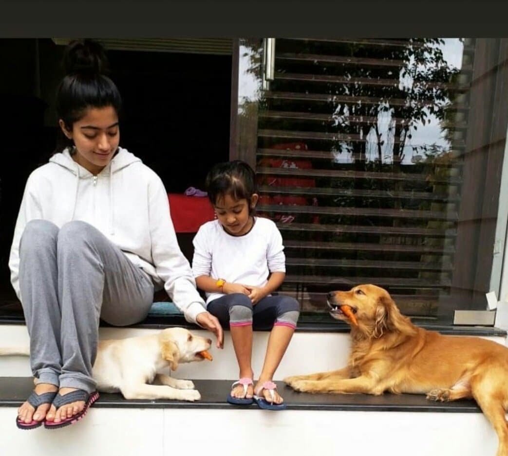 ರಶ್ಮಿಕಾ ಮಂದಣ್ಣ