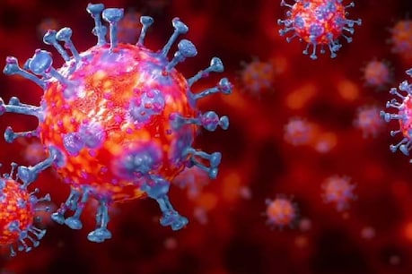 CoronaVirus: 10 ವರ್ಷಕ್ಕಿಂತ ಕಡಿಮೆ ವಯಸ್ಸಿನ ಮಕ್ಕಳಲ್ಲಿ ಶೇ.261 ರಷ್ಟು ಸೋಂಕು ಏರಿಕೆ: ಪೋಷಕರಲ್ಲಿ ಮೂಡಿದ ಆತಂಕ CoronaVirus: 10 ವರ್ಷಕ್ಕಿಂತ ಕಡಿಮೆ ವಯಸ್ಸಿನ ಮಕ್ಕಳಲ್ಲಿ ಶೇ.261 ರಷ್ಟು ಸೋಂಕು ಏರಿಕೆ: ಪೋಷಕರಲ್ಲಿ ಮೂಡಿದ ಆತಂಕ