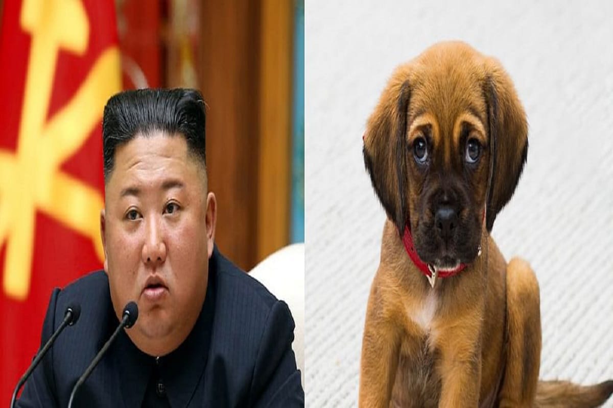 News18 Kannada DPRK Leader Kim Jong Un passes order; North Koreans