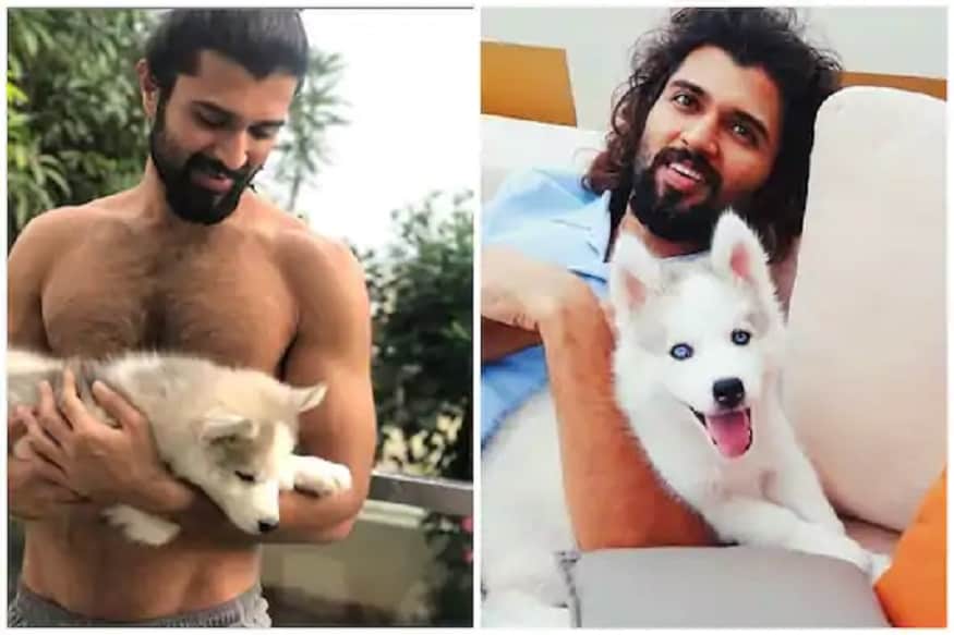 Vijay Deverakonda Poses Shirtless with His Cute Beast Storm