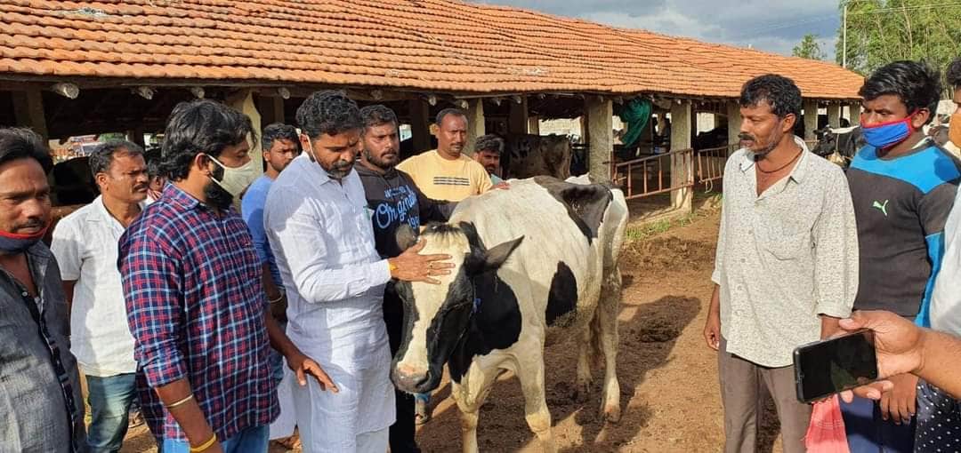cattles comes to kolar by Indian railway
