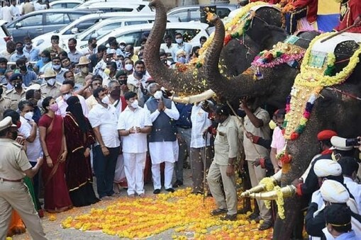 ಮೈಸೂರಿಗೆ ಆಗಮಿಸಿರುವ ದಸರಾ ಆನೆಗಳು