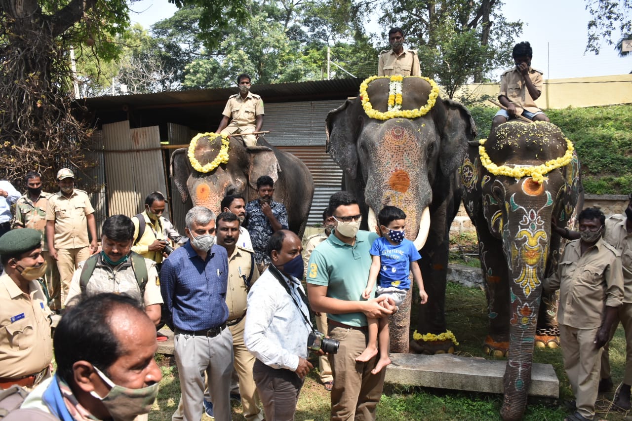 farewell to the Dasara elephant in mysore palace after vijayadashami