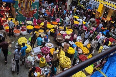 ಕೊರೋನಾತಂಕದ ನಡುವೆ ರಾಜಧಾನಿಯ ಮಾರುಕಟ್ಟೆಗಳಲ್ಲಿ ಜನಜಾತ್ರೆ; ದೇವಸ್ಥಾನಗಳಲ್ಲಿಯೂ ಭಕ್ತರ ದಂಡು! ಕೊರೋನಾತಂಕದ ನಡುವೆ ರಾಜಧಾನಿಯ ಮಾರುಕಟ್ಟೆಗಳಲ್ಲಿ ಜನಜಾತ್ರೆ; ದೇವಸ್ಥಾನಗಳಲ್ಲಿಯೂ ಭಕ್ತರ ದಂಡು!