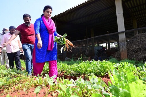 ಚಿಕ್ಕಬಳ್ಳಾಪುರ ಜಿಲ್ಲಾಧಿಕಾರಿ ಆರ್ ಲತಾ