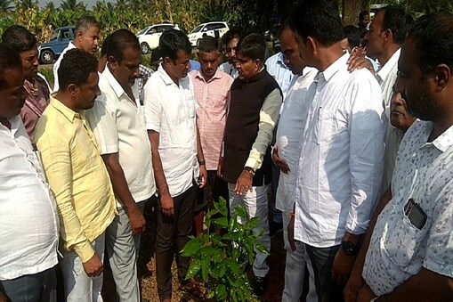 ರಾಮನಗರದ ಬಿಡದಿಯಲ್ಲಿ ರೈತರ ರೇಷ್ಮೆ ಹಾಗೂ ತೆಂಗಿನ ತೋಟಗಳಿಗೆ ಭೇಟಿ ಕೊಟ್ಟು ಸಂವಾದ ನಡೆಸಿದ ಸಚಿವ ಆರ್. ಶಂಕರ್. 