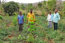 ಚನ್ನಪಟ್ಟಣದ ತಗಚಗೆರೆ ಗ್ರಾಮದಲ್ಲಿ 8 ಕಾಡಾನೆಗಳ ದಾಳಿ; ಲಕ್ಷಾಂತರ ರೂ.ಮೌಲ್ಯದ ಬೆಳೆ ನಾಶ ಚನ್ನಪಟ್ಟಣದ ತಗಚಗೆರೆ ಗ್ರಾಮದಲ್ಲಿ 8 ಕಾಡಾನೆಗಳ ದಾಳಿ; ಲಕ್ಷಾಂತರ ರೂ.ಮೌಲ್ಯದ ಬೆಳೆ ನಾಶ
