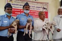 Mudhol Hounds: ಭೂಸೇನೆ ಬಳಿಕ ಭಾರತೀಯ ವಾಯುಸೇನೆ ಸೇರಿದ ಮುಧೋಳ ಶ್ವಾನ