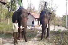 Elephant Problem | ಕಾಡಾನೆಗಳ ಉಪಟಳ ತಪ್ಪಿಸಿ, ಗ್ರಾಮ ರಕ್ಷಿಸಲು ಸಾಕಾನೆಗಳ ಕಾವಲು!
