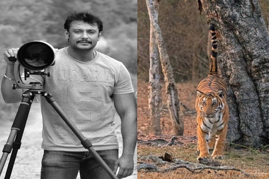  ಪ್ರಾಣಿ-ಪಕ್ಷಿಗಳು ಎಂದರೆ ದರ್ಶನ್​ ಅವರಿಗೆ ಎಷ್ಟು ಪ್ರೀತಿ ಹಾಗೂ ಕಾಳಜಿ ಎನ್ನುವುದರ ಬಗ್ಗೆ ಪ್ರತ್ಯೇಕವಾಗಿ ಹೇಳುವಂತಿಲ್ಲ. ಅರಣ್ಯ ಇಲಾಖೆಯ ರಾಯಭಾರಿಯಾಗಿರುವ ದರ್ಶನ್​ ಅವರು ಸದಾ ಅರಣ್ಯ ಹಾಗೂ ವನ್ಯಜೀವಿ ಸಂರಕ್ಷಣೆ ವಿಷಯವಾಗಿ ಸಾಕಷ್ಟು ಕೆಲಸಗಳನ್ನು ಮಾಡುತ್ತಿರುತ್ತಾರೆ.