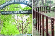 ಬನ್ನೇರುಘಟ್ಟದಲ್ಲಿ ರೈಲ್ವೆ ಬ್ಯಾರೀಗೇಟ್ ನಿರ್ಮಾಣ; ಬೆಂಗಳೂರು ಹೊರವಲಯದಲ್ಲಿ ಆನೆ ದಾಳಿಗೆ ಕಡಿವಾಣ ಬನ್ನೇರುಘಟ್ಟದಲ್ಲಿ ರೈಲ್ವೆ ಬ್ಯಾರೀಗೇಟ್ ನಿರ್ಮಾಣ; ಬೆಂಗಳೂರು ಹೊರವಲಯದಲ್ಲಿ ಆನೆ ದಾಳಿಗೆ ಕಡಿವಾಣ