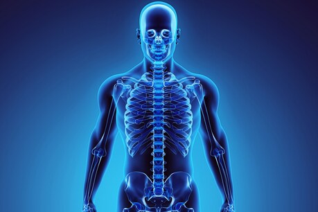 ಮೂತ್ರಪಿಂಡ, ಹೃದಯ ಮಾತ್ರವಲ್ಲ… ಇನ್ಮುಂದೆ ಮೂಳೆಗಳನ್ನೂ ದಾನ ಮಾಡಬಹುದು !