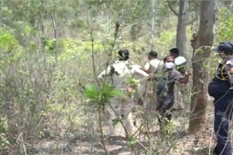 ಕರ್ನಾಟಕ ವಿವಿ ಕ್ಯಾಂಪಸ್ ಬಳಿ ಕಾಣಿಸಿಕೊಂಡ ಕಾಡಾನೆ; ವಿದ್ಯಾರ್ಥಿಗಳು ಕಂಗಾಲು