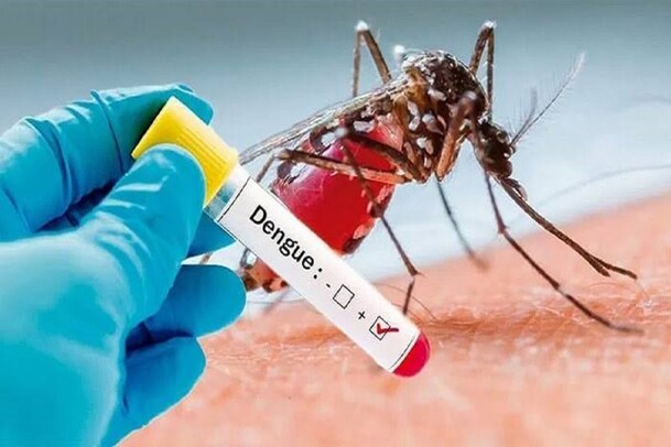 Dengue in Karnataka: ಕೊರೋನಾ ನಡುವೆ ಡೆಂಗ್ಯೂ ಕಾಟ; ಉಡುಪಿ, ಬೆಂಗಳೂರಿನಲ್ಲಿ ಅತೀ ಹೆಚ್ಚು ಪ್ರಕರಣಗಳು