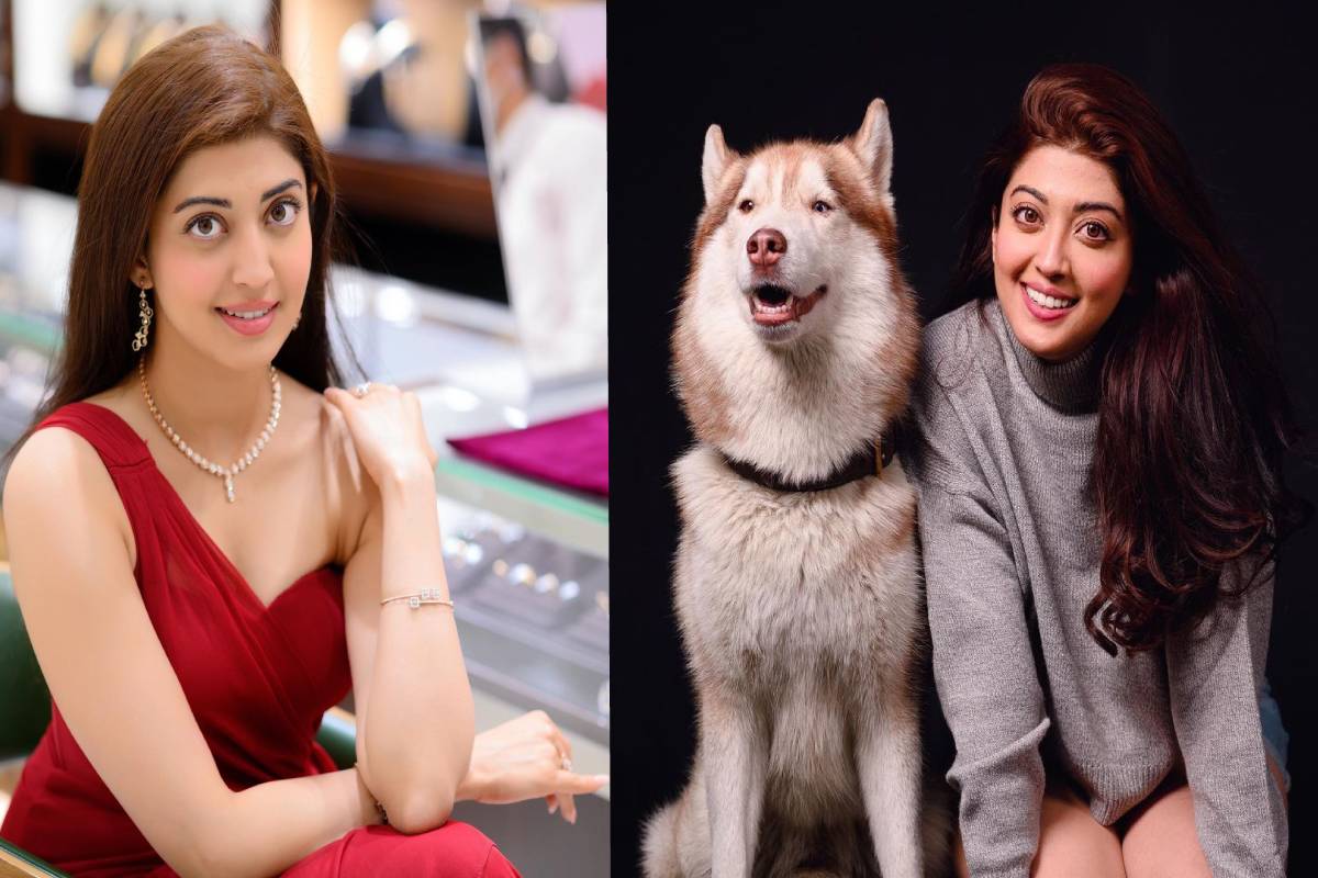  ಲಾಕ್​ಡೌನ್​ ಆದಾಗಲೂ ಜನರ ಸಂಕಷ್ಟಕ್ಕೆ ಸ್ಪಂದಿಸಿದ್ದ ಪ್ರಣೀತಾ ಸುಭಾಷ್​ ಈಗ ಕೋವಿಡ್​ ಸೋಂಕಿತರ ನೆವರಿಗೂ ಬಂದಿದ್ದಾರೆ.