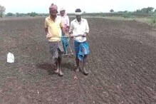 ಪೆಟ್ರೋಲ್​ ಬೆಲೆ ಏರಿಕೆ: ಟ್ರಾಕ್ಟರ್​ ಬಿಟ್ಟು ನಗಕ್ಕೆ ಹೆಗಲು ಕೊಟ್ಟು ರೈತ 