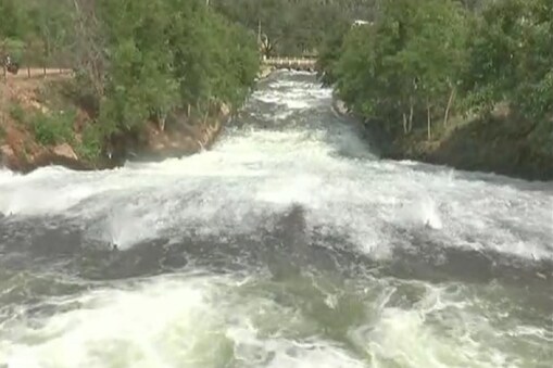 ಭದ್ರಾ ನದಿ ನೀರು