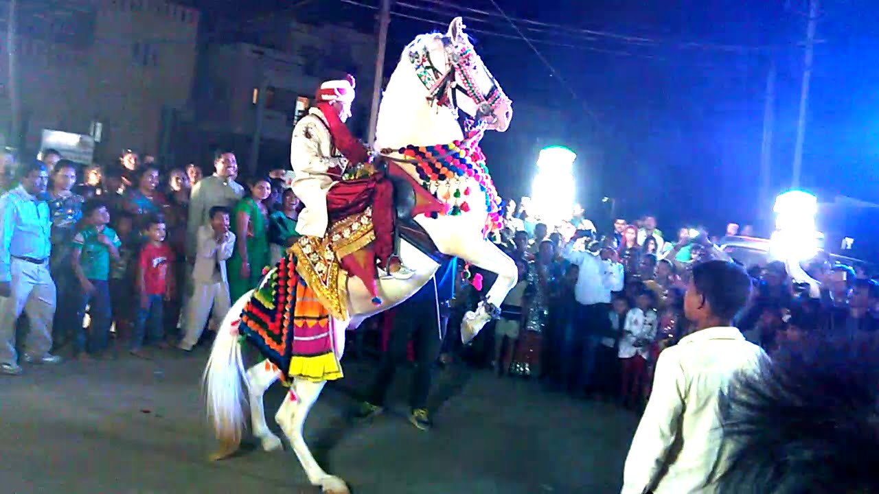 Bridegroom runs away from the wedding with his mare - WATCH viral video  here | ಮದುವೆ ಮೆರವಣಿಗೆಯಲ್ಲಿ ಕುದುರೆ ಮೇಲೆ ಕುಳಿತ ವರ ಓಟ, ಸ್ವಾಗತಕ್ಕೆ ಬಂದ ದಿಬ್ಬಣ  ಗಾಬರಿ !– News18 Kannada