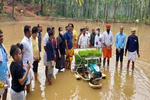 ದಕ್ಷಿಣಕನ್ನಡ ಜಿಲ್ಲೆಯಲ್ಲಿ ಸದ್ದಿಲ್ಲದೆ ನಡೆಯುತ್ತಿದೆ ಭತ್ತದ ಕ್ರಾಂತಿ