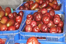 China Bans Taiwan Fruits: ಮತ್ತೆ ತೈವಾನ್​ನಿಂದ ಹಣ್ಣುಗಳ ಅಮದಿಗೆ ನಿರ್ಬಂಧ ಹೇರಿದ ಚೀನಾ..