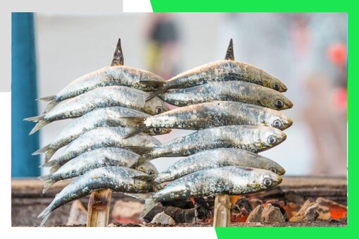 Sardine Fish/ ಸಾರ್ಡೀನ್ ಮೀನು