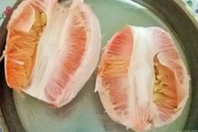Chakotha Fruit Benefits: ಚಕ್ಕೋತ ಹಣ್ಣು ಹುಳಿ ಅಂತ  ತಿನ್ನದೇ ಇರಬೇಡಿ-ಇದರಲ್ಲಿದೆ ಆರೋಗ್ಯಕರ ಪ್ರಯೋಜನ