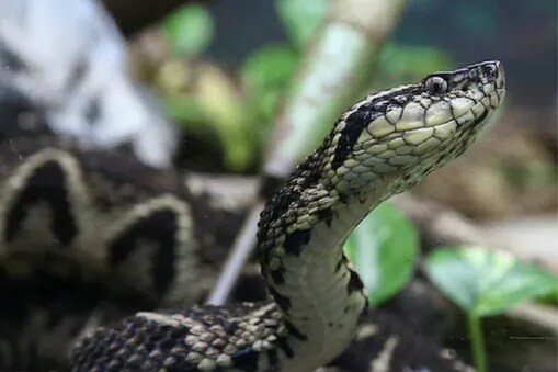 ಸಾಂದರ್ಭಿಕ ಚಿತ್ರ