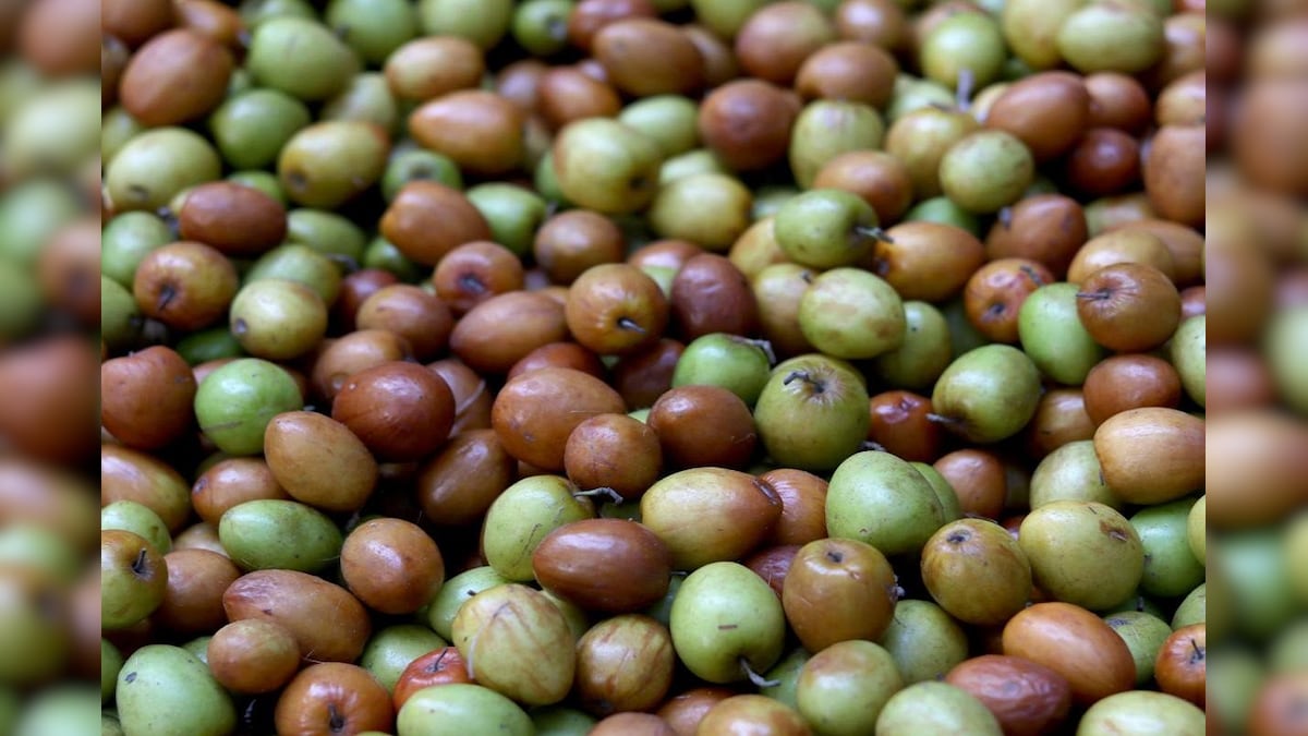 Here Is The Health Benefits Of Jujube Fruits Jujube Fruits ಬರದಲ್ಲೂ ಸಿಗುವ ಬೋರೆ ಹಣ್ಣಿನ 5036