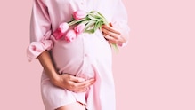 Pregnancy Tips: ಗರ್ಭಧರಿಸಲು ಪ್ಲ್ಯಾನ್ ಮಾಡುತ್ತಿದ್ರೆ  5 ವರ್ಷಗಳ ಮುಂಚೆ ಮೀನು ತಿನ್ನಬಾರದಂತೆ