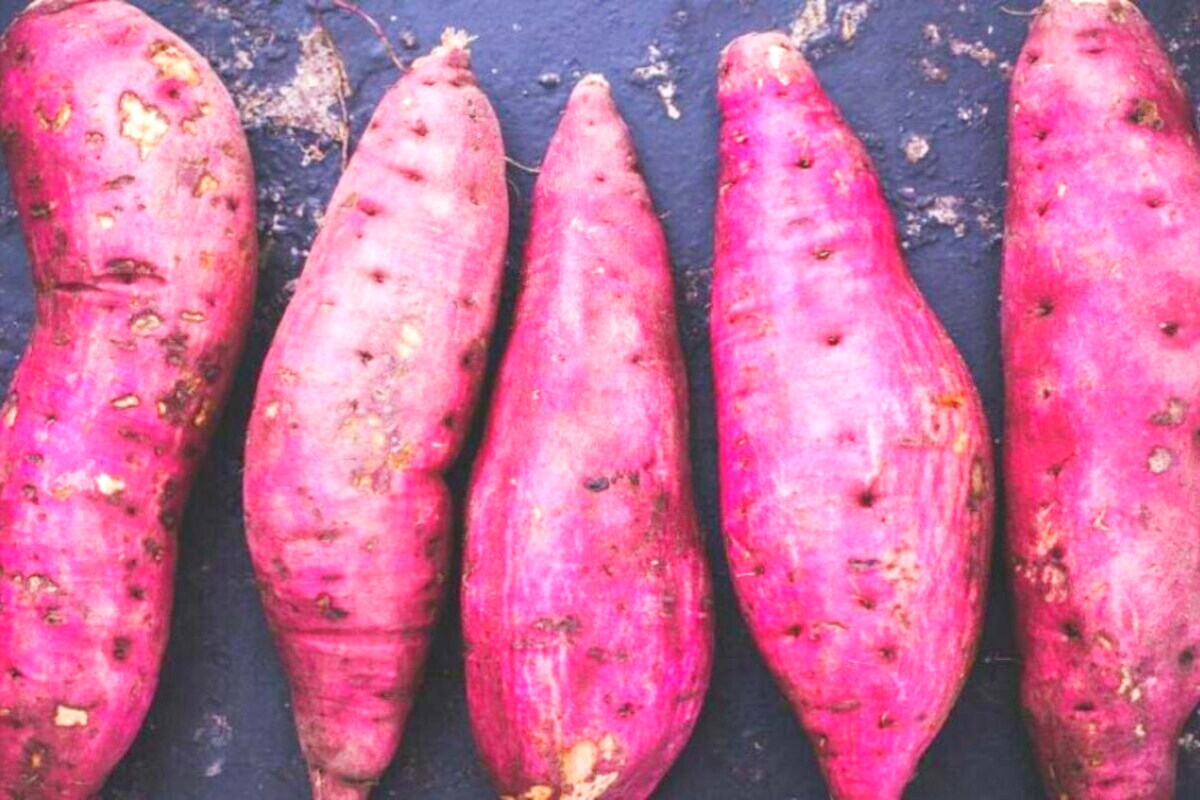 Kitchen Hacks ಅಪ್ಪಿ ತಪ್ಪಿ ಪ್ರೆಶರ್ ಕುಕ್ಕರ್ ನಲ್ಲಿ ಈ ವಸ್ತುಗಳನ್ನು