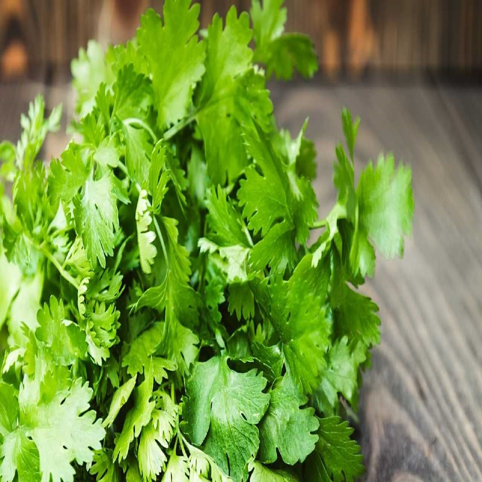 Coriander Benefits ಕೊತ್ತಂಬರಿ ಸೊಪ್ಪು ಸೇವನೆಯಿಂದ ಶುಗರ್ ಇರುವವರಿಗೆ