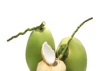 Tender Coconut: ಗರ್ಭಿಣಿಯರು ಎಳನೀರು ಕುಡಿದರೆ ಬೇಗ ಸುಸ್ತಾಗುವುದಿಲ್ಲ, ಸೌಂದರ್ಯವೂ ಹೆಚ್ಚುತ್ತದೆಯಂತೆ!