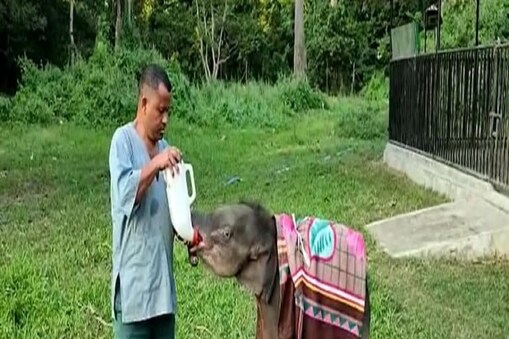 ಪ್ರಾತಿನಿಧಿಕ ಚಿತ್ರ