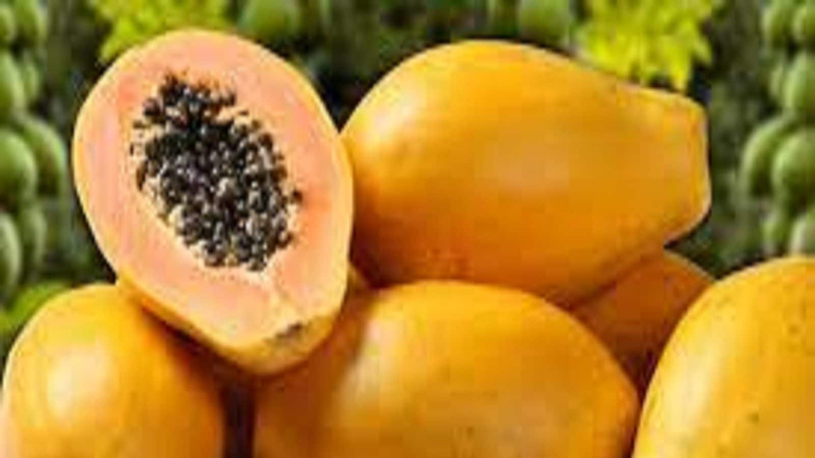 Eating papaya does not make you cough l Health Tips ದಿನನಿತ್ಯ ಪಪ್ಪಾಯಿ