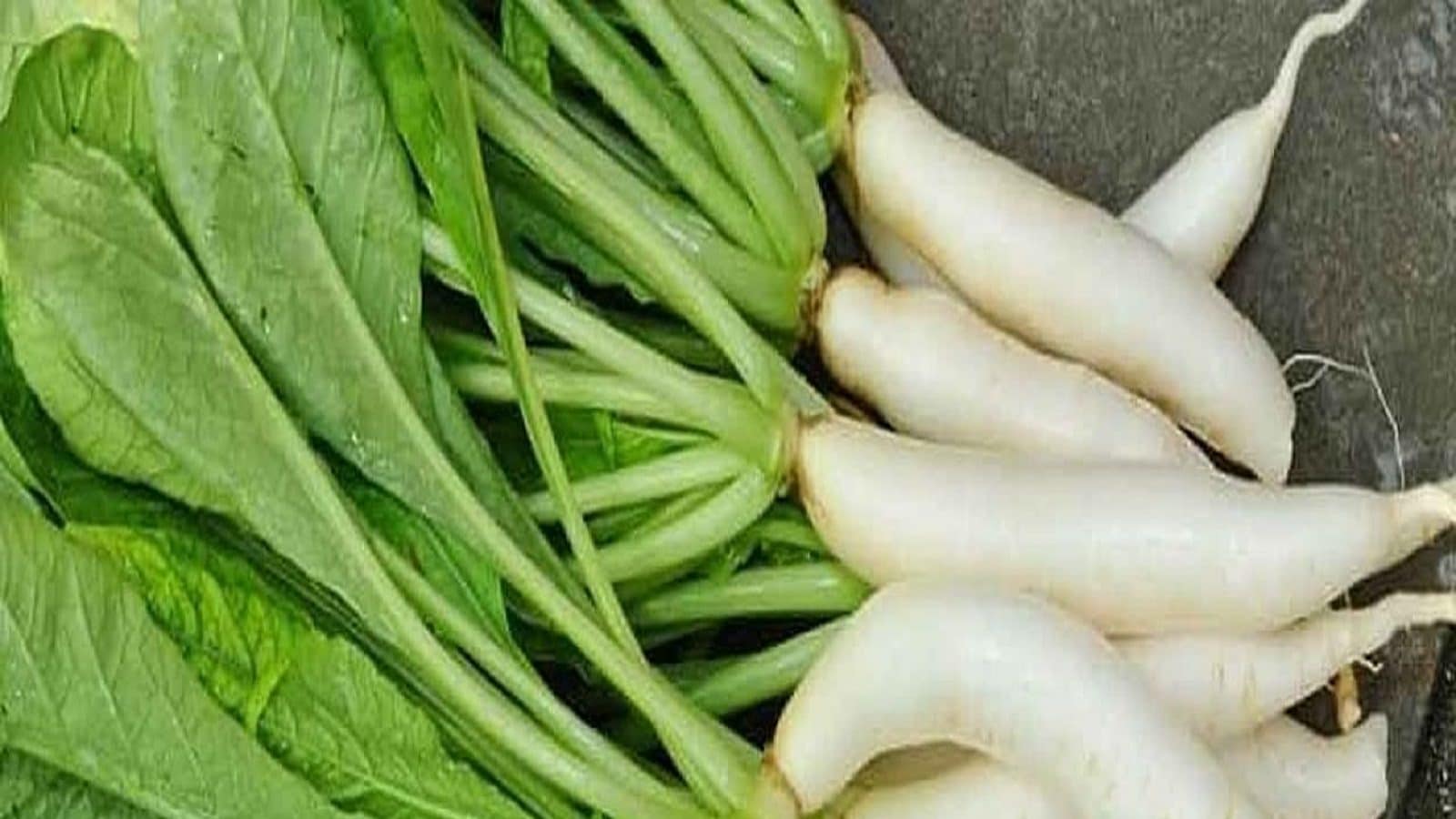 here is all you need to know about benefits of radish leaves Radish