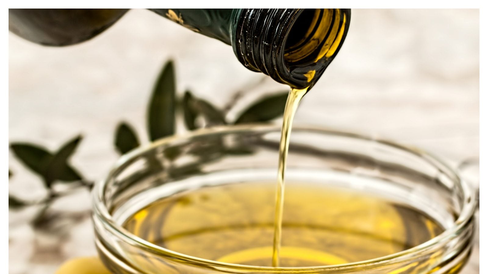 what are the white particles in olive oil/ ಹಾಳಾಗಿರುವ Olive oil