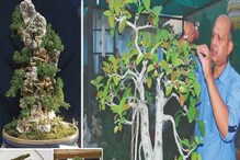 Bonsai: ಬೋನ್ಸಾಯ್ ಗಿಡ ಬೆಳೆಸಿ ವರ್ಷಕ್ಕೆ 50 ಲಕ್ಷ ರೂ ಆದಾಯ ಗಳಿಸ್ತಿದ್ದಾರೆ, ನೀವೂ ಮಾಡ್ಬಹುದು ನೋಡಿ