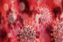 Coronavirus India: ಕಳೆದ 24 ಗಂಟೆಯಲ್ಲಿ ದೇಶದಲ್ಲಿ 2.85 ಲಕ್ಷ ಕೊರೋನಾ ಕೇಸ್ ಪತ್ತೆ, 665 ಮಂದಿ ಸಾವು