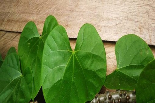 ಸಾಂದರ್ಭಿಕ ಚಿತ್ರ