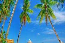 Holiday Plan: ಗೋವಾ ಅಂದ್ರೆ ಬೀಚ್ ಮಾತ್ರ ಅಲ್ಲ, ಅಲ್ಲಿ ನೀವು ನೋಡಲೇಬೇಕಾದ ಇಂಟರೆಸ್ಟಿಂಗ್ ಸ್ಥಳಗಳಿವೆ..