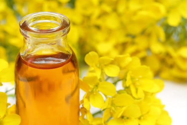 Mustard Oil Benefits: ಹಲ್ಲಿನ ಆರೋಗ್ಯಕ್ಕಾಗಿ ಸಾಸಿವೆ ಎಣ್ಣೆ, ಬಳಸೋದು ಹೇಗೆ?