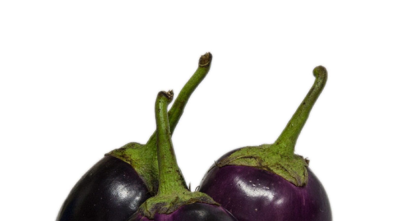 Brinjal Benefit ಬದನೆಕಾಯಿ ಅಂತ ಮೂಗು ಮುರಿಯೋ ಮುನ್ನ, ಎಷ್ಟು ಆರೋಗ್ಯಕರ ಅಂತ