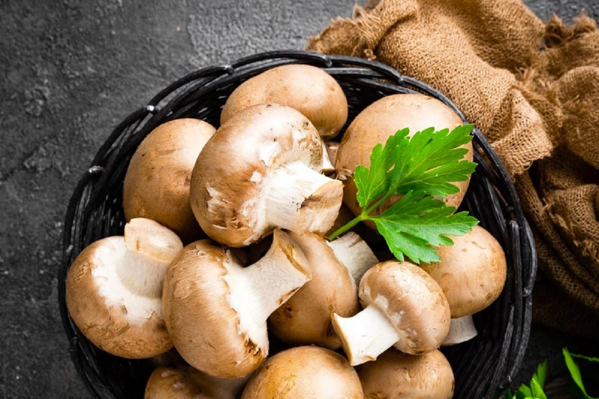 Health Tips: ಮಶ್ರೂಮ್ ತಿನ್ನೋ ಮುನ್ನ ಎಚ್ಚರ, ಈ ಬಗೆಯ ಅಲರ್ಜಿ ಸಮಸ್ಯೆ ನಿಮ್ಮನ್ನು  ಕಾಡಬಹುದು – News18 ಕನ್ನಡ