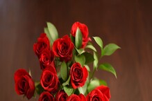 Valentines Day ಗೆ ಬೆಂಗಳೂರಿನಿಂದ ಹೊರಹೋಗಿವೆ ಲಕ್ಷ ಲಕ್ಷ ಗುಲಾಬಿಗಳು