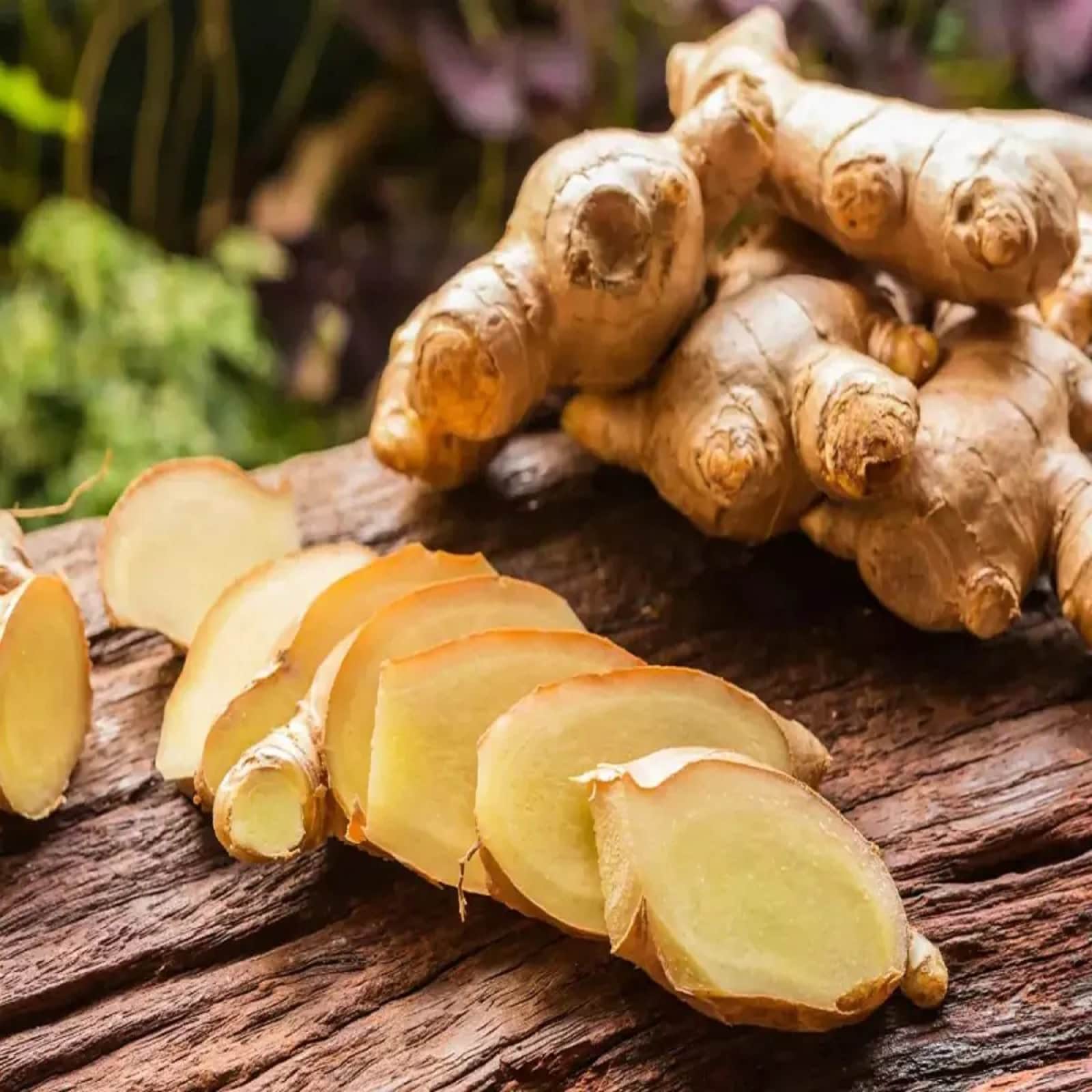 Ginger Benefits ಶುಂಠಿ ಸೇವನಯ ಈ ಪ್ರಯೋಜನಗಳ ಬಗ್ಗೆ ತಿಳಿಯಿರಿ, ಅನೇಕ