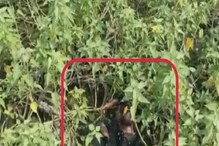 Video: ತಗಳ್ಳಪ್ಪಾ.. ರೌಡಿನ ಹುಡ್ಕೋಕೂ ಡ್ರೋಣ್ ಬೇಕಾಯ್ತು! ತಪ್ಪಿಸಿಕೊಂಡ ಈತ ಎಲ್ಲಿ ಅಡಗಿದ್ದ? Video: ತಗಳ್ಳಪ್ಪಾ.. ರೌಡಿನ ಹುಡ್ಕೋಕೂ ಡ್ರೋಣ್ ಬೇಕಾಯ್ತು! ತಪ್ಪಿಸಿಕೊಂಡ ಈತ ಎಲ್ಲಿ ಅಡಗಿದ್ದ?