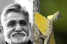 Poornachandra Tejaswi: ಪೂರ್ಣಚಂದ್ರ ತೇಜಸ್ವಿಯವರ ಓದಲೇಬೇಕಾದ ಪುಸ್ತಕಗಳಿವು! ನೀವೂ ಒಮ್ಮೆ ಕಣ್ಣಾಯಿಸಿ