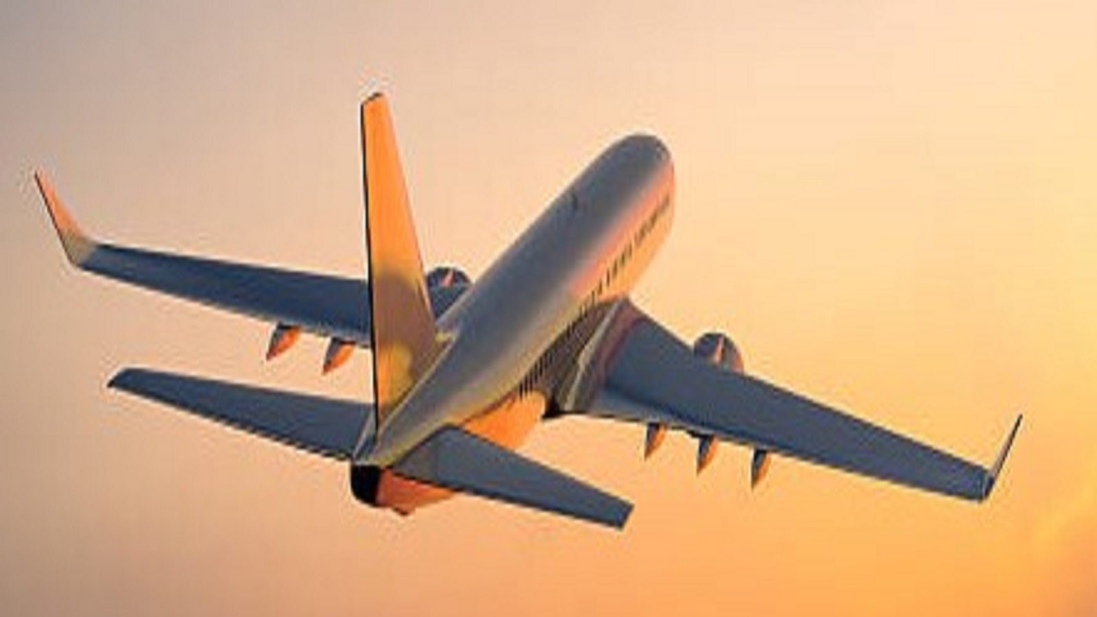 Flight ವಿಮಾನದಲ್ಲಿ ಪ್ರಯಾಣಿಸುವವರಿಗೆ ಫೌಂಟೇನ್ ಪೆನ್ ತೆಗೆದುಕೊಂಡು ಹೋಗಲು